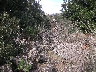 rruggeri-Lava del 1634 201011121 047
